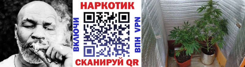 Продажа наркотиков Вяземский СОЛЬ  Мефедрон  Конопля 